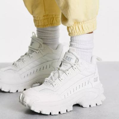 صورة المعرض